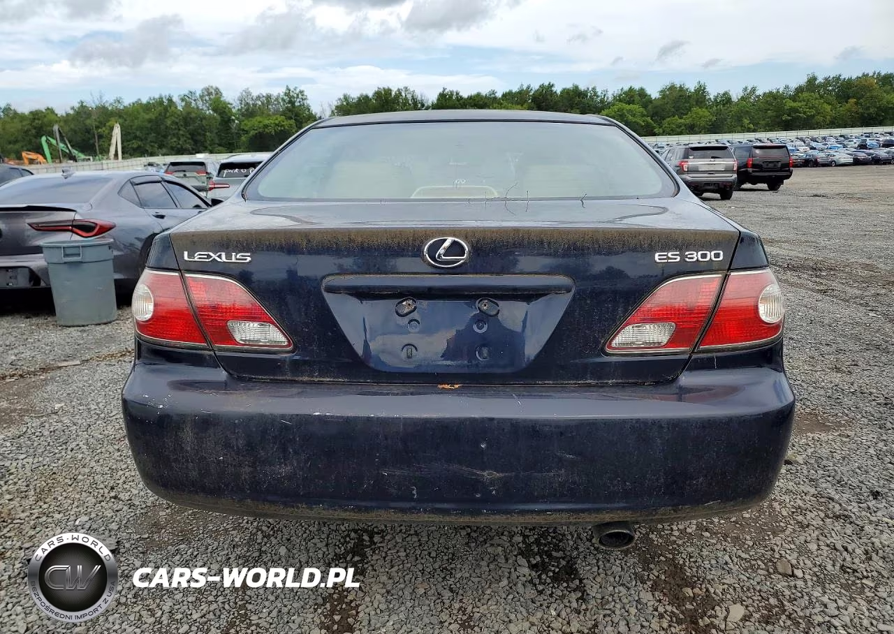 2003 Lexus Es 300 VIN:JTHBF30G536005863 - 6