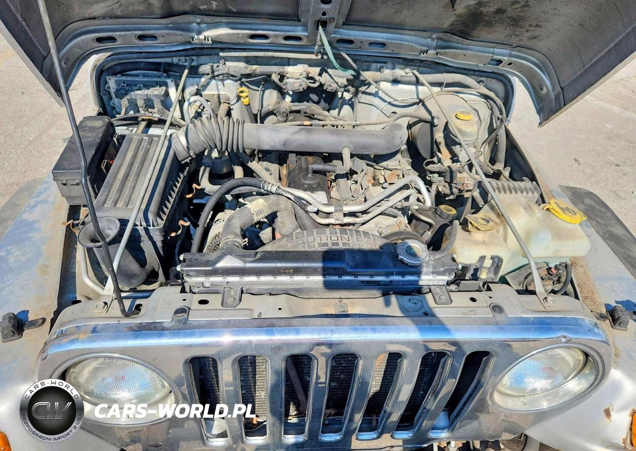 2004 Jeep Wrangler X VIN:1J4FA39S84P715967 - 11