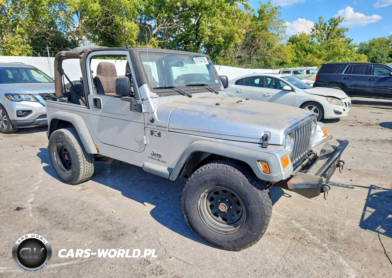 2004 Jeep Wrangler X VIN:1J4FA39S84P715967 - 4