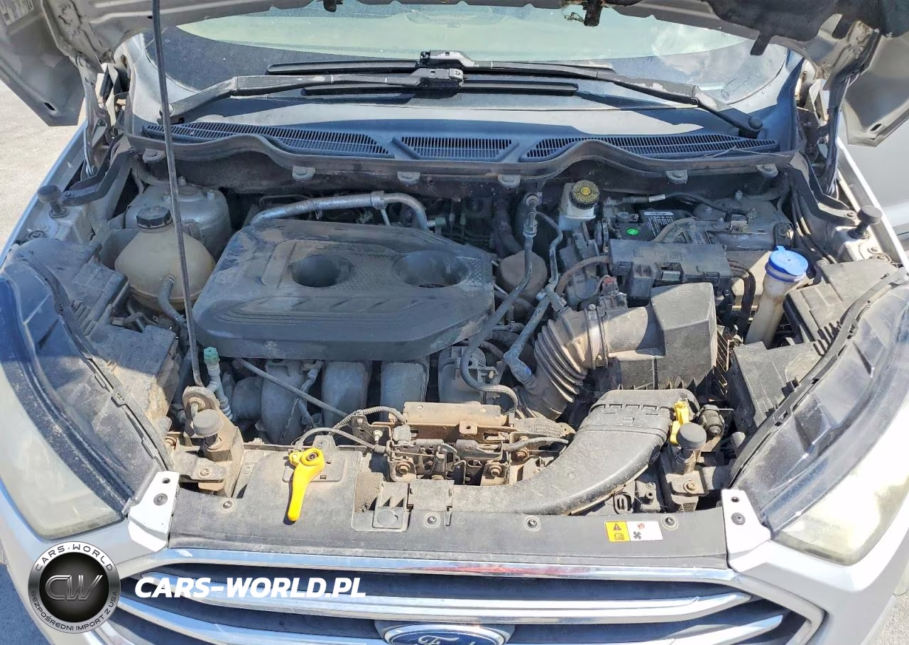 2020 Ford Ecosport Titanium VIN:MAJ6S3KL5LC323644 - 12