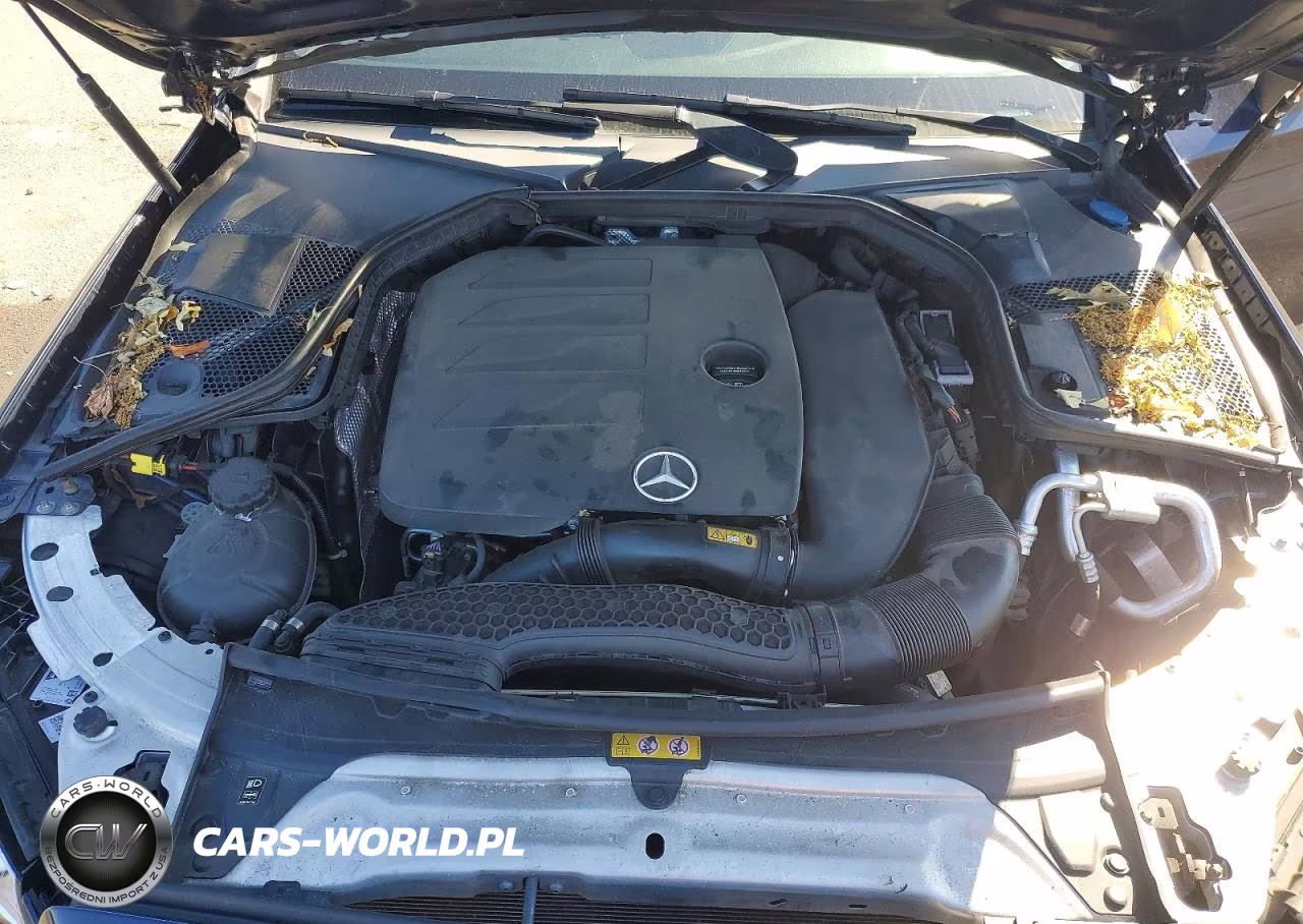 2019 Mercedes-Benz C 300 4Matic VIN:WDDWJ8EB5KF879209 - 11