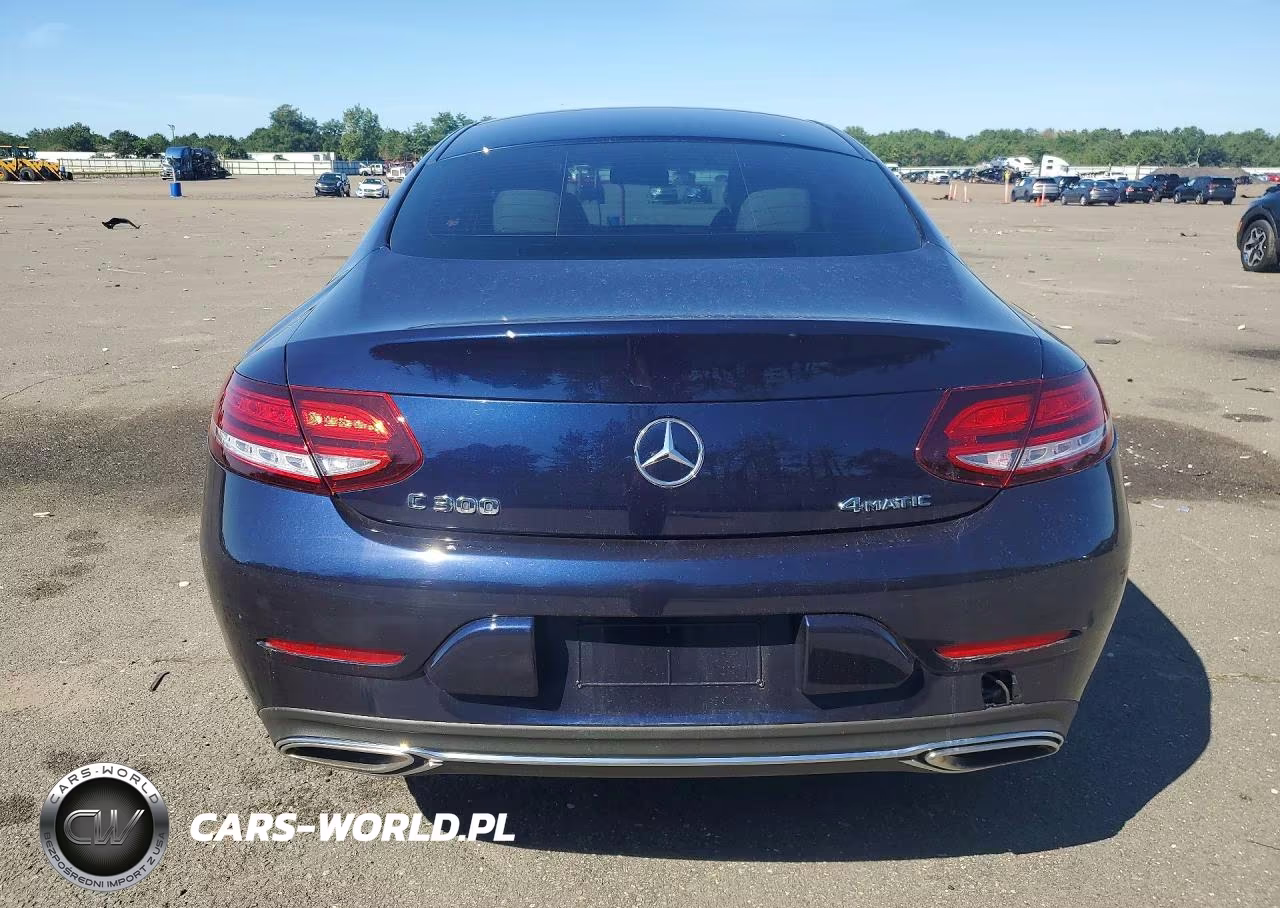 2019 Mercedes-Benz C 300 4Matic VIN:WDDWJ8EB5KF879209 - 6