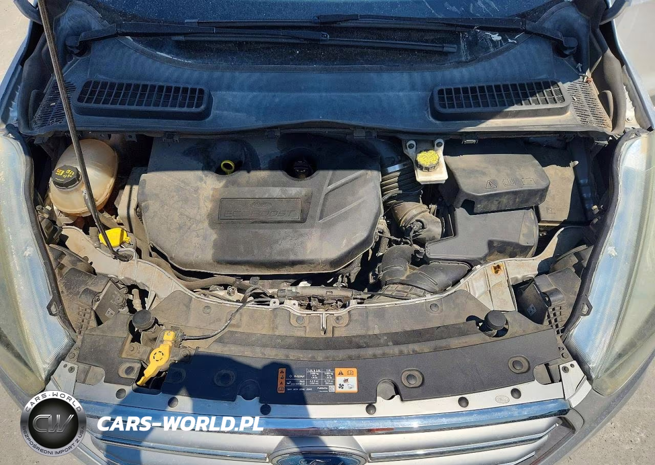 2017 Ford Escape Titanium VIN:1FMCU0J97HUB62481 - 12