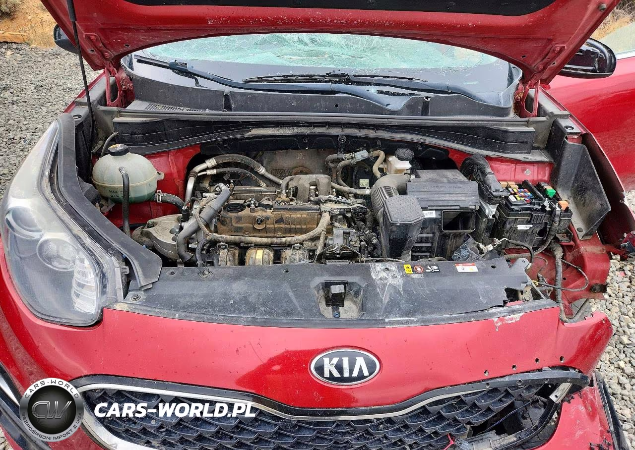 2020 Kia Sportage Lx VIN:KNDPMCACXL7726196 - 12