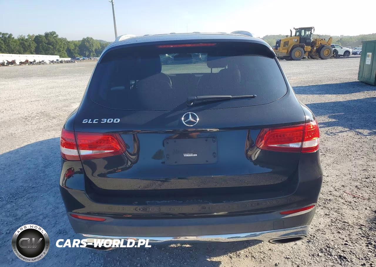 2016 Mercedes-Benz Glc 300 VIN:WDC0G4JB3GF019274 - 6