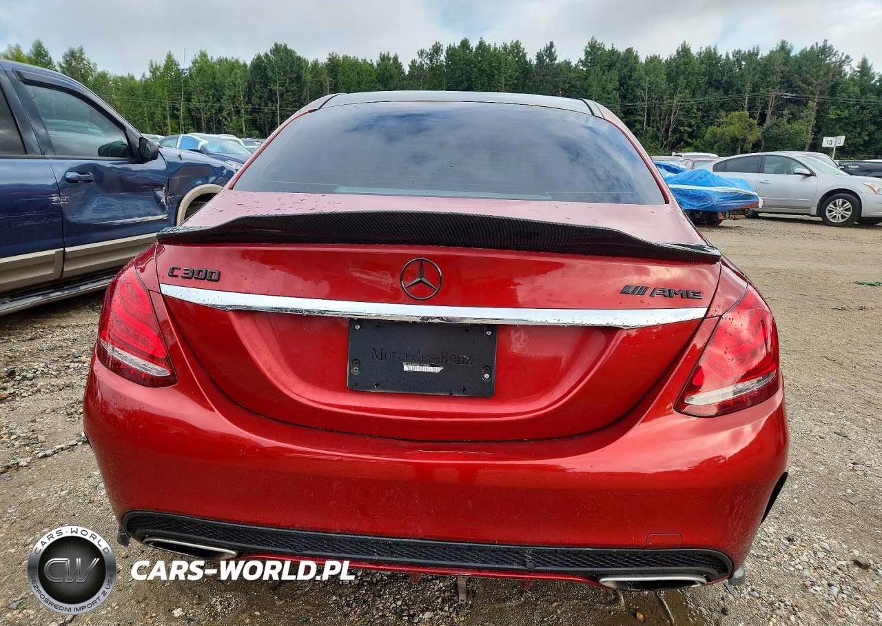 2016 Mercedes-Benz C 300 VIN:55SWF4JBXGU170604 - 6