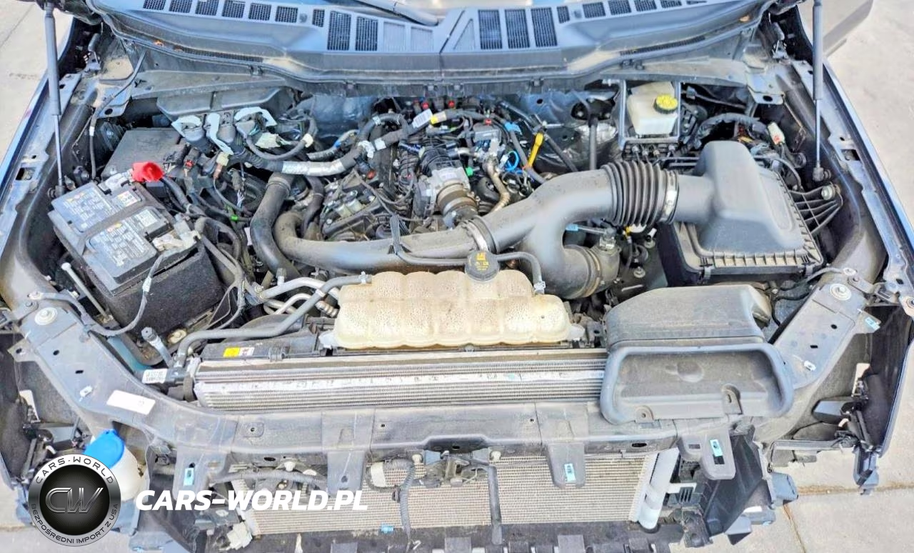 2024 Ford F150 Xl VIN:1FTEX1LP2RKE29240 - 11