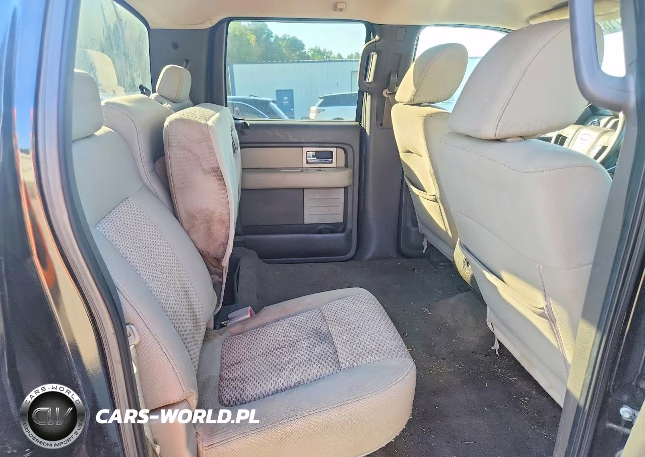 2009 Ford F150 Supercrew VIN:1FTRW12869FA17989 - 10