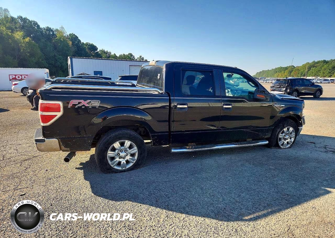 2009 Ford F150 Supercrew VIN:1FTRW12869FA17989 - 3