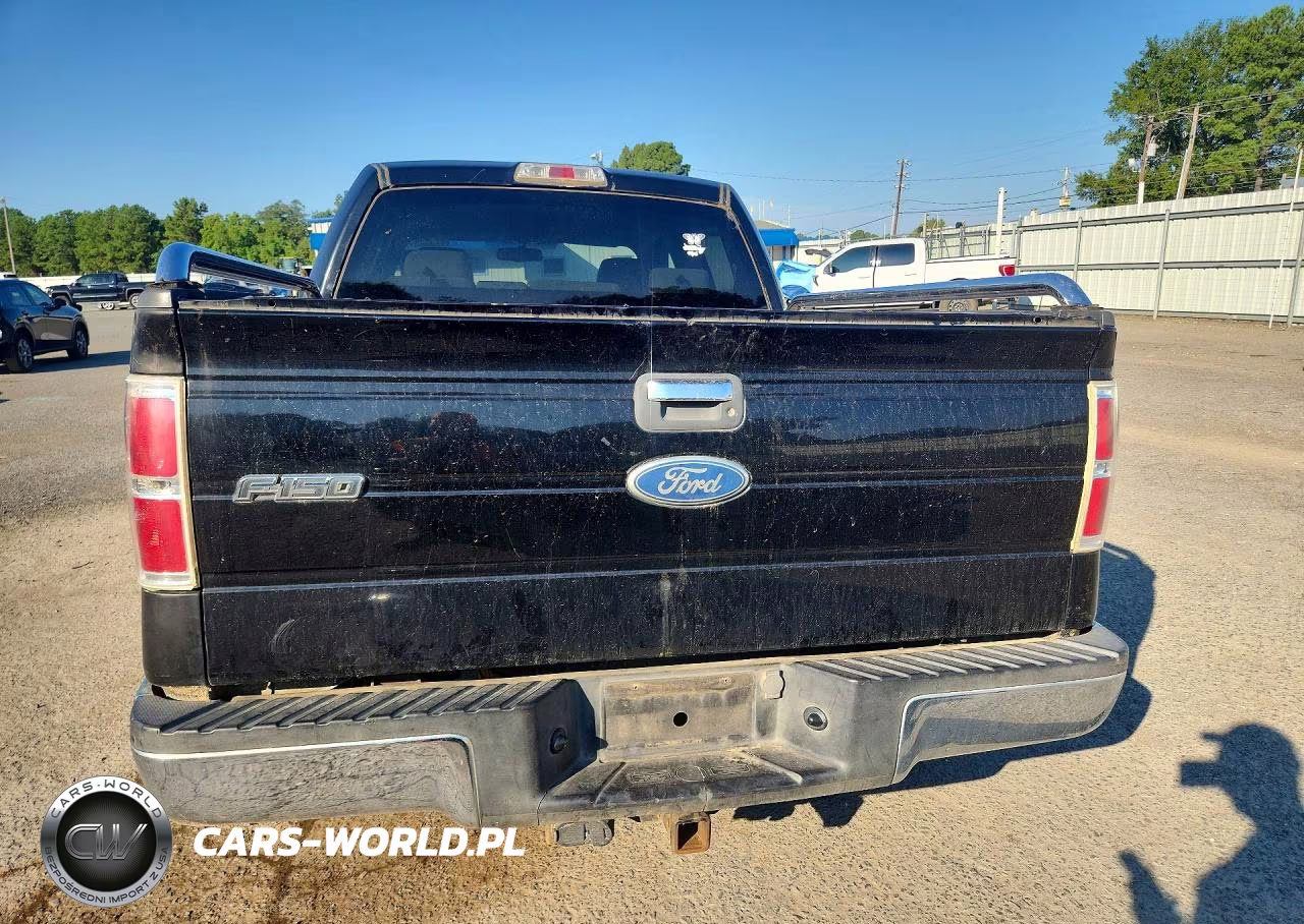 2009 Ford F150 Supercrew VIN:1FTRW12869FA17989 - 6