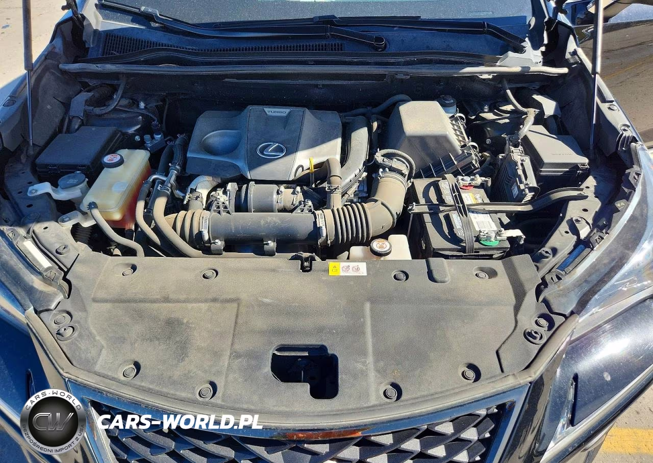 2019 Lexus Nx 300 F Sport VIN:JTJBARBZ2K2185825 - 12