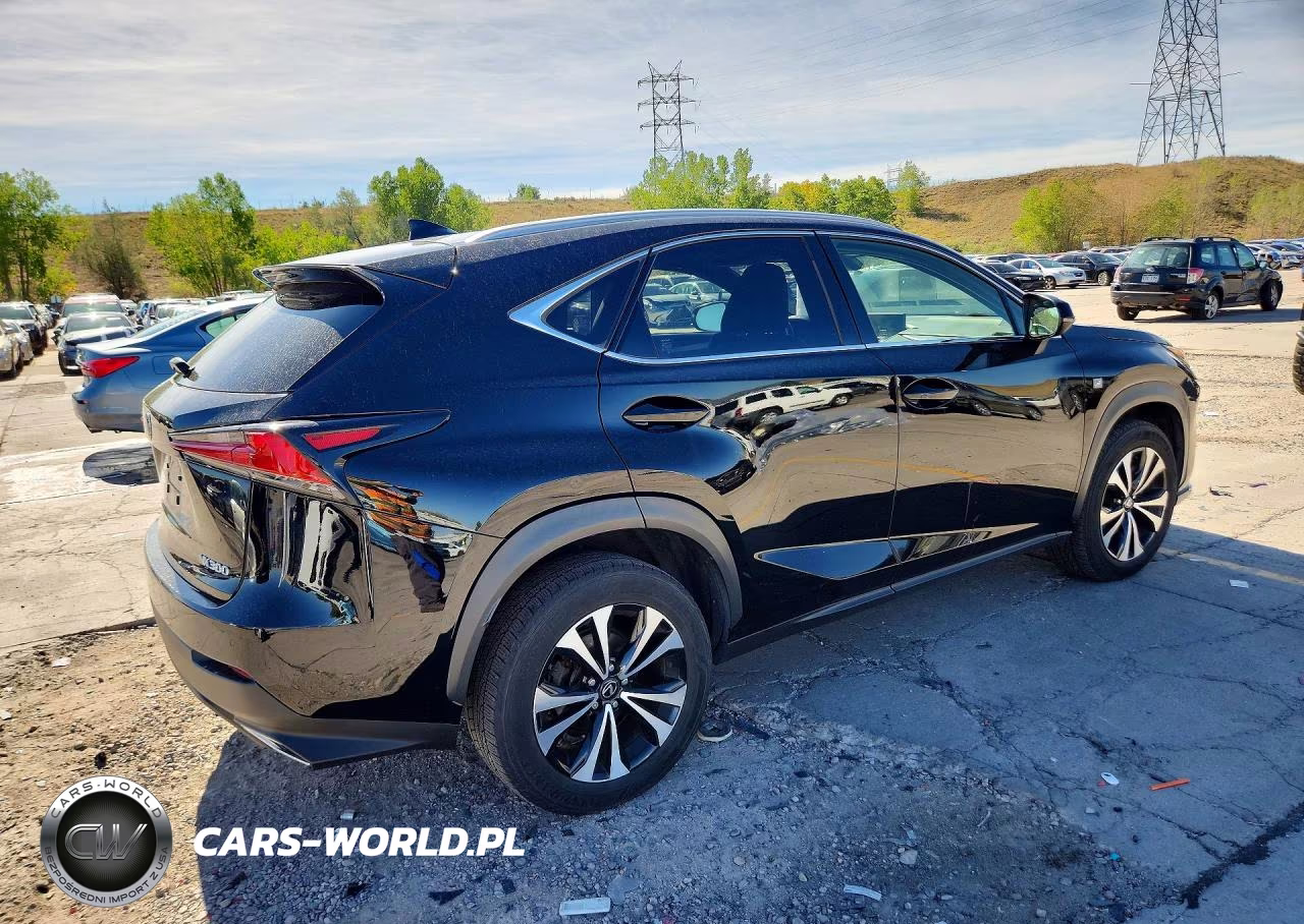2019 Lexus Nx 300 F Sport VIN:JTJBARBZ2K2185825 - 3
