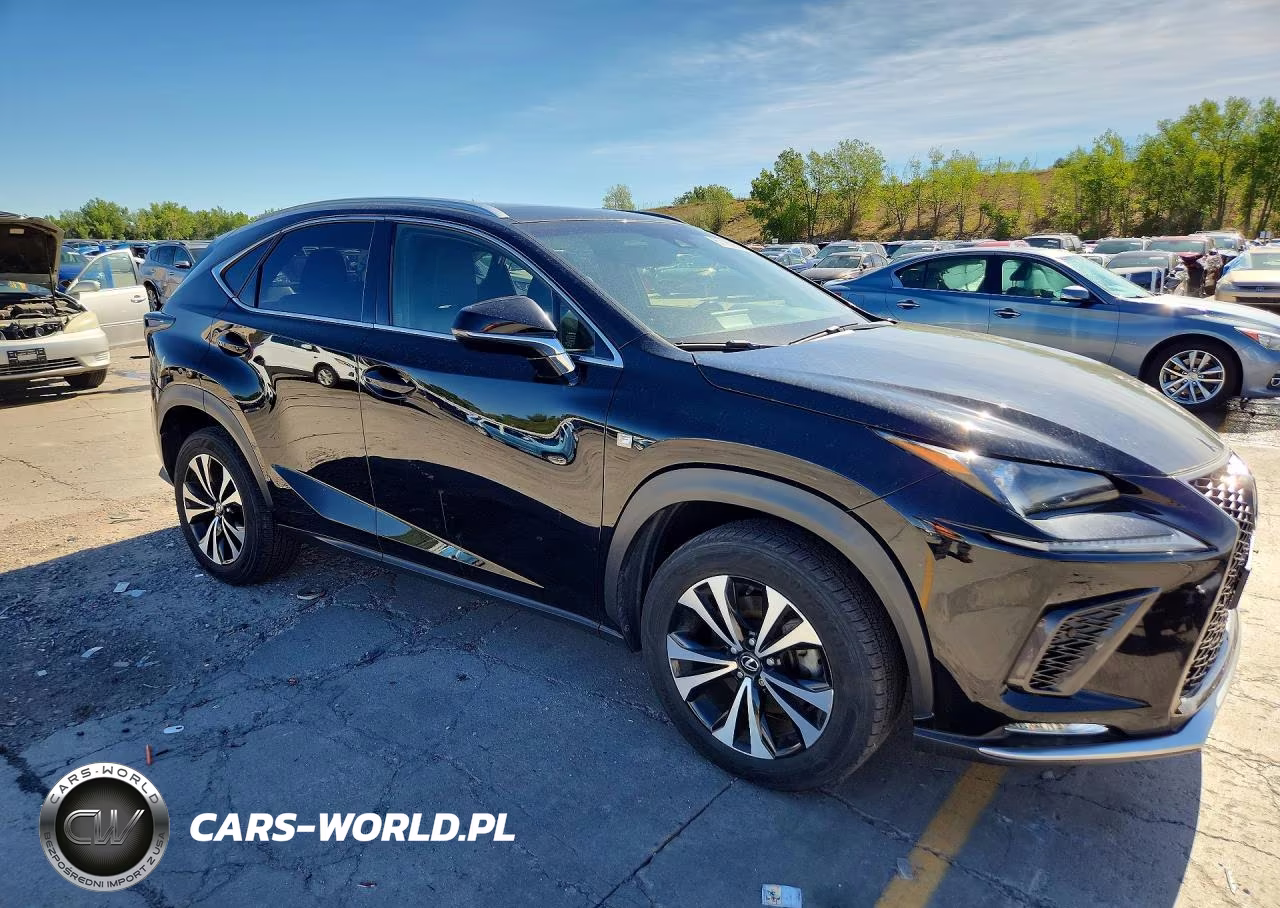 2019 Lexus Nx 300 F Sport VIN:JTJBARBZ2K2185825 - 4
