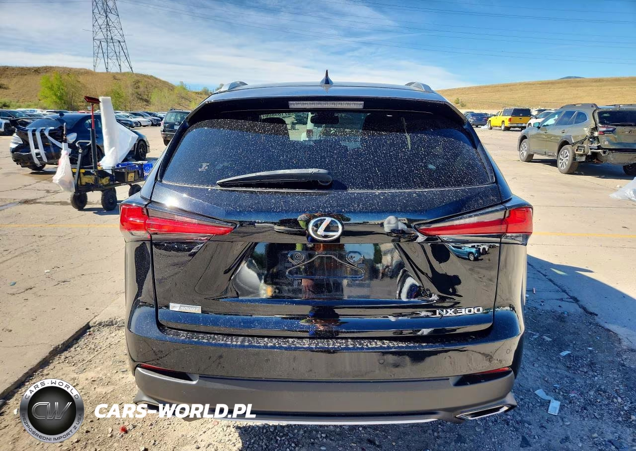 2019 Lexus Nx 300 F Sport VIN:JTJBARBZ2K2185825 - 6