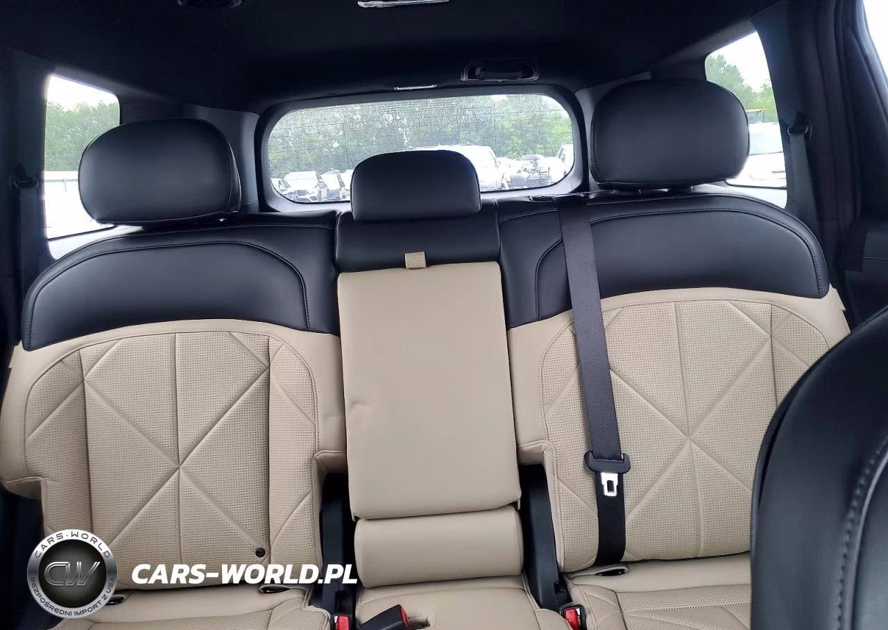 2027 Kia Telluride Ex VIN:5XYPC5S19VG023786 - 10