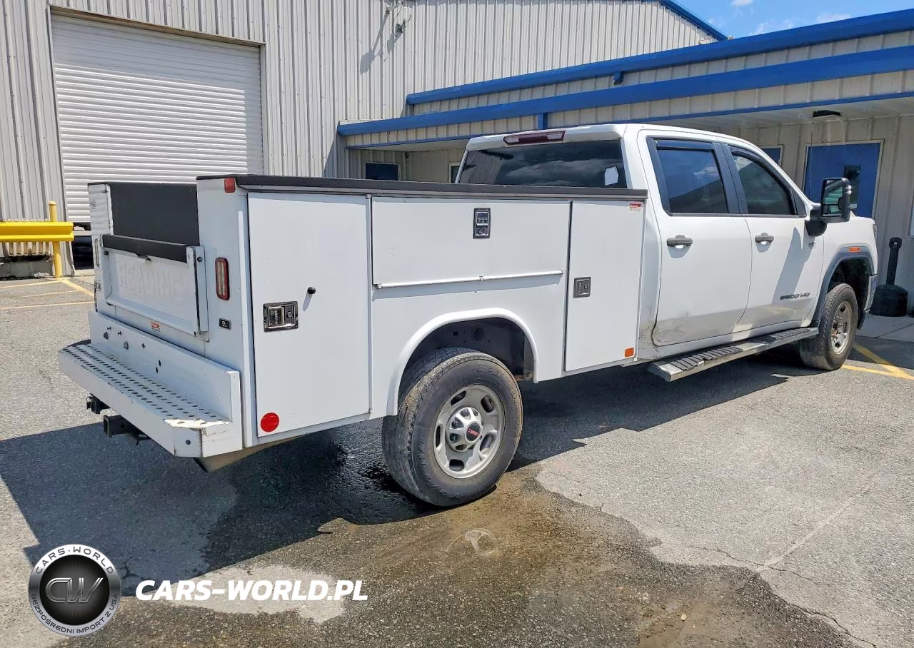 2021 GMC Sierra C2500 Heavy Duty VIN:1GD18LE71MF195495 - 3