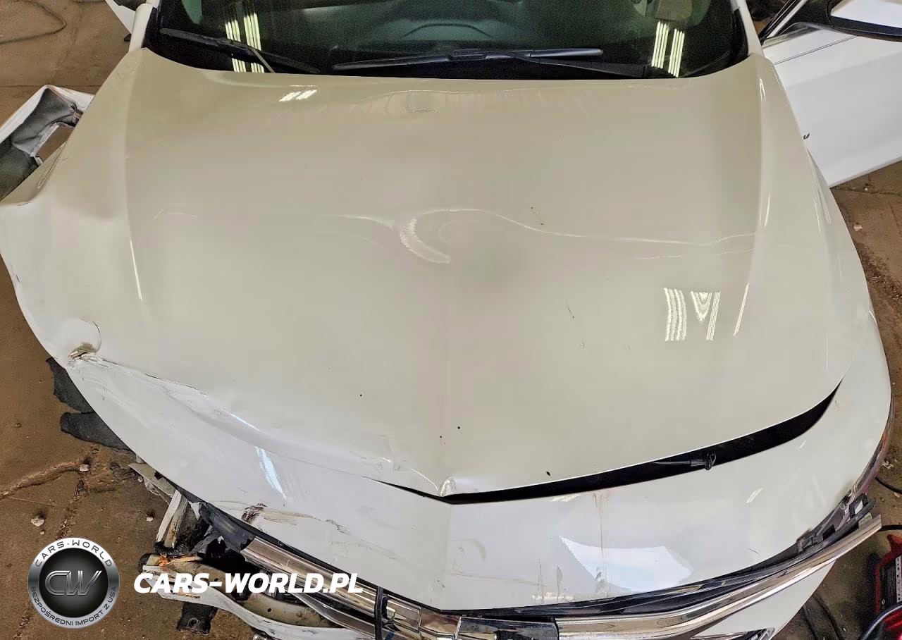 2019 Chevrolet Malibu Lt VIN:1G1ZD5ST7KF123223 - 11