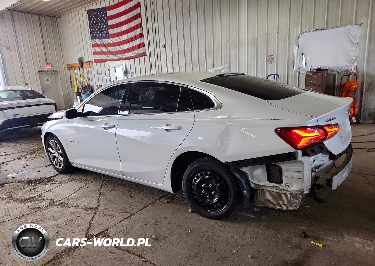 2019 Chevrolet Malibu Lt VIN:1G1ZD5ST7KF123223 - 2