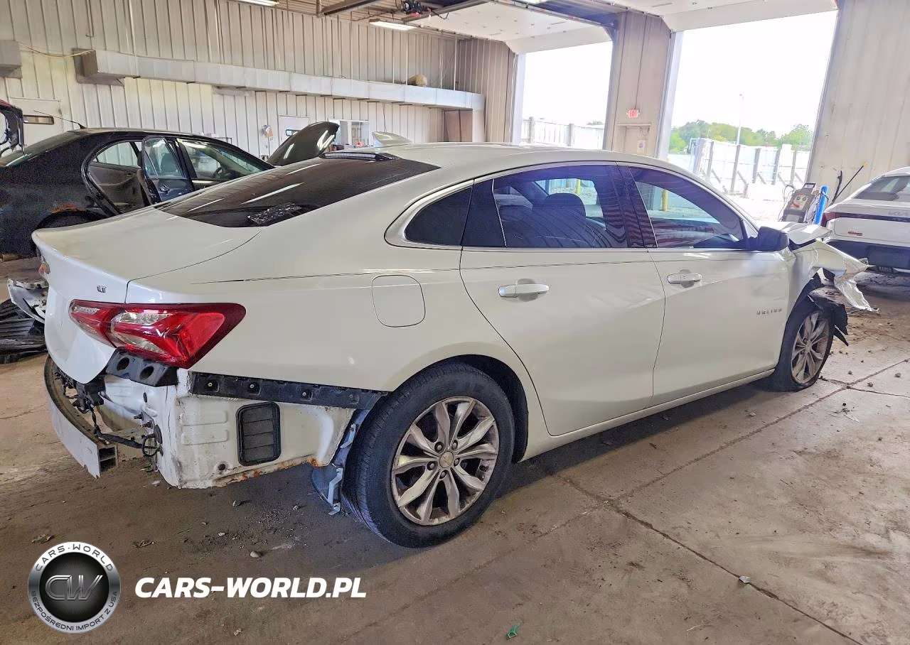 2019 Chevrolet Malibu Lt VIN:1G1ZD5ST7KF123223 - 3