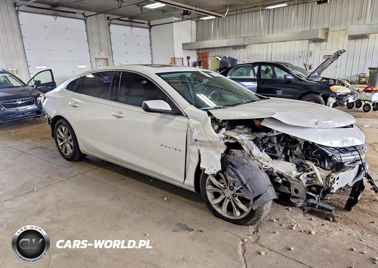 2019 Chevrolet Malibu Lt VIN:1G1ZD5ST7KF123223 - 4