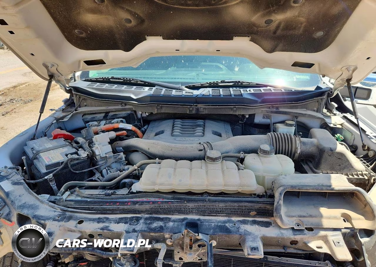 2021 Ford F150 Supercrew VIN:1FTFW1ED0MFB13346 - 11
