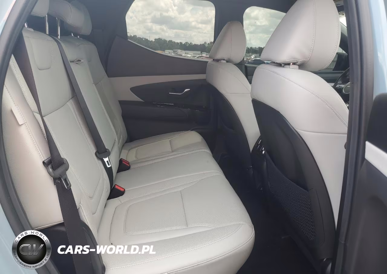 2025 Hyundai Santa Cruz Limited VIN:5NTJEDDF3SH154477 - 11