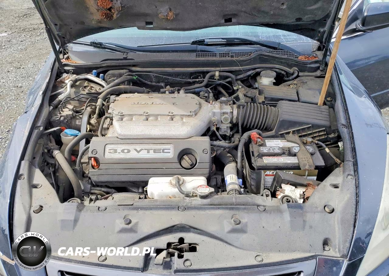 2003 Honda Accord Ex VIN:1HGCM66553A092665 - 11