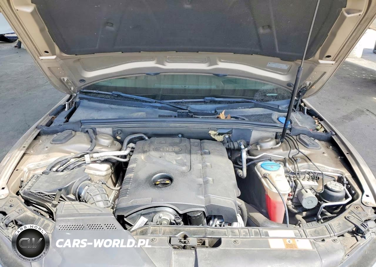 2010 Audi A5 Premium Plus VIN:WAULFAFH3AN008447 - 11
