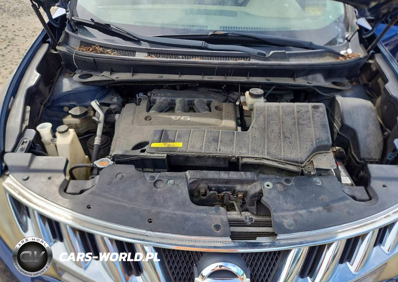 2009 Nissan Murano S VIN:JN8AZ18W59W109805 - 11