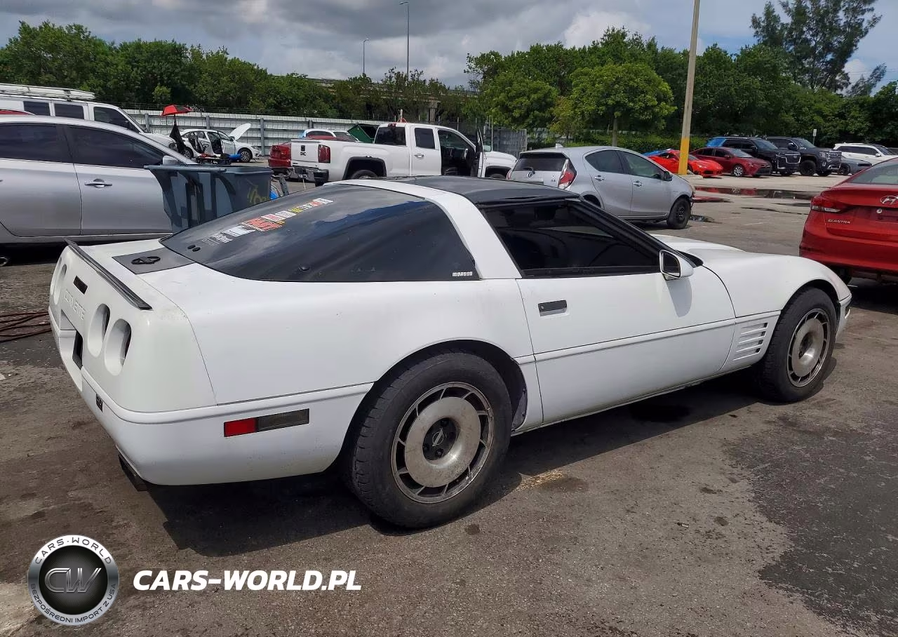 1993 Chevrolet Corvette VIN:1G1YY23P1P5115566 - 3