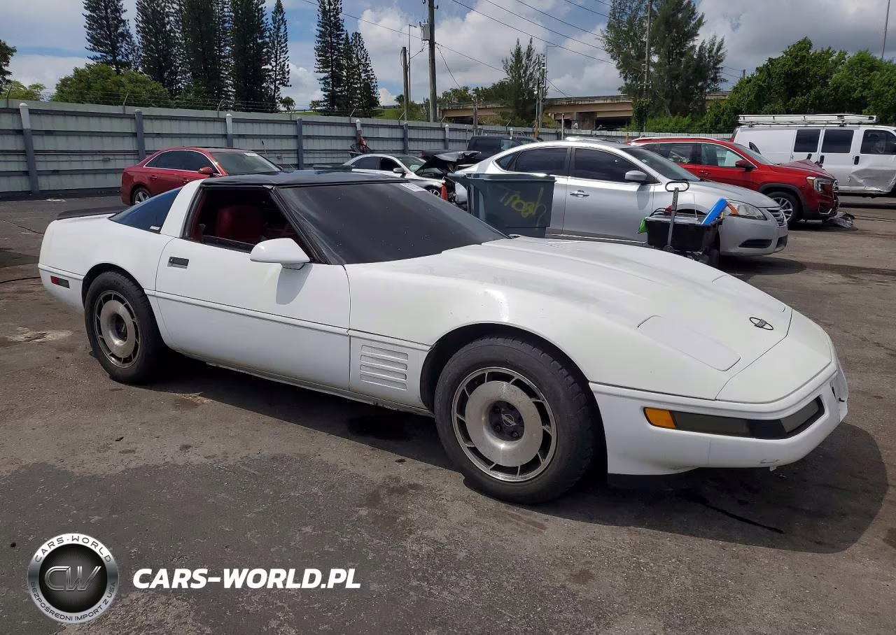 1993 Chevrolet Corvette VIN:1G1YY23P1P5115566 - 4