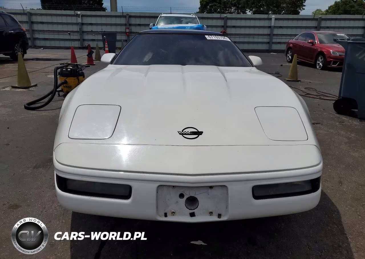 1993 Chevrolet Corvette VIN:1G1YY23P1P5115566 - 5