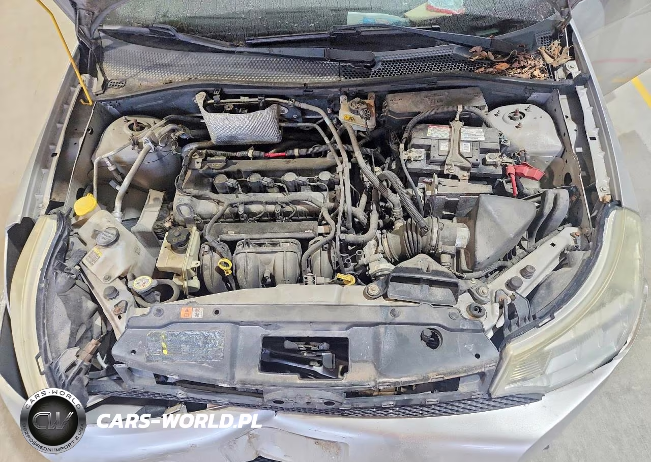 2011 Ford Focus Sel VIN:1FAHP3HN1BW137289 - 11