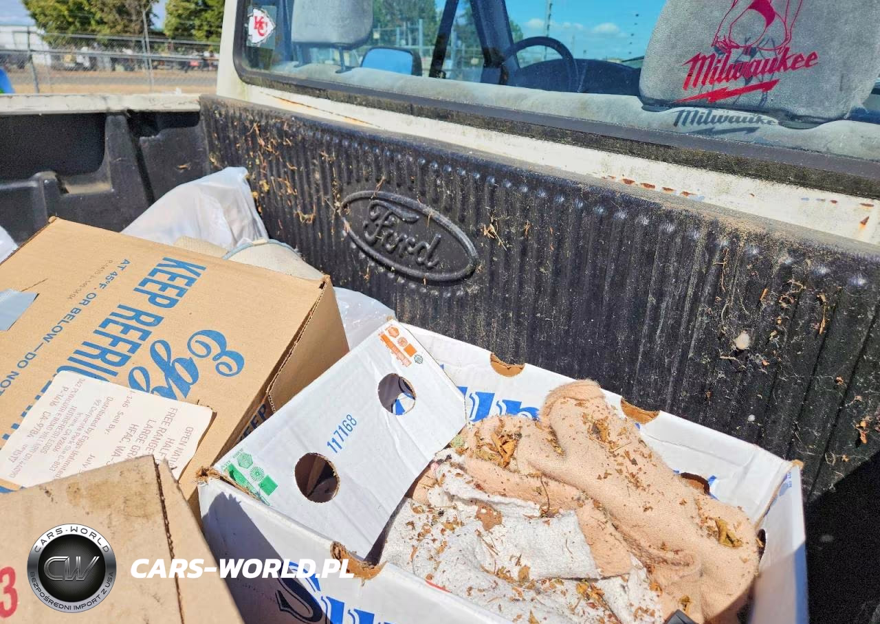1994 Ford F250 VIN:1FTHF26H9RLA47243 - 10