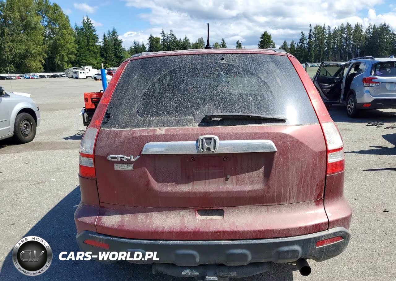 2009 Honda Cr-V Ex VIN:5J6RE48559L054450 - 6