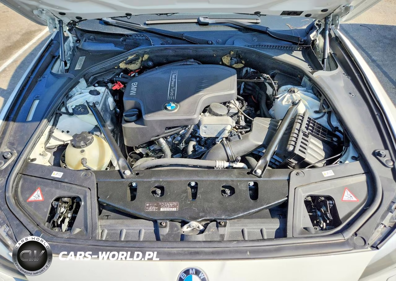 2013 BMW 528 I VIN:WBAXG5C59DD232381 - 11