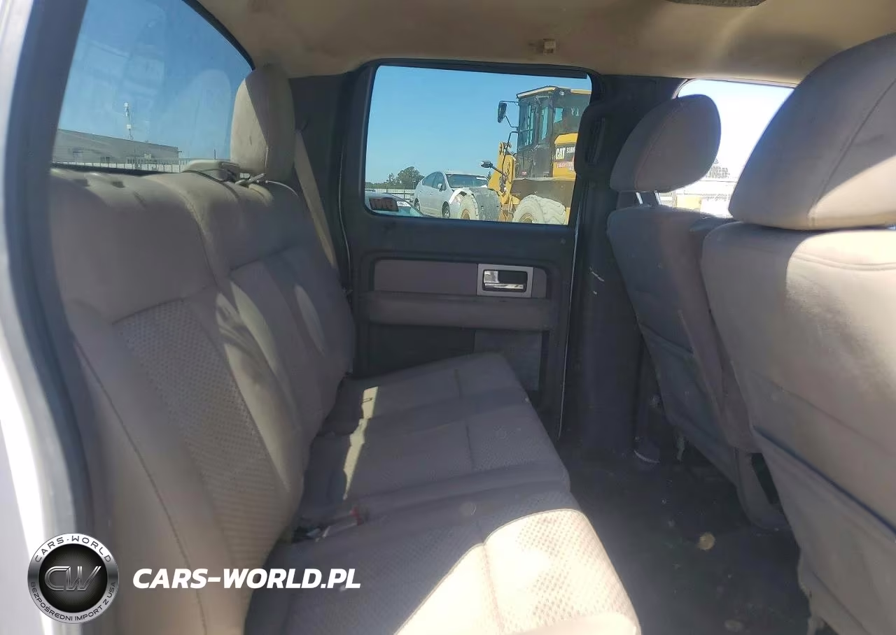2010 Ford F150 Supercrew VIN:1FTEW1E8XAFB59129 - 10