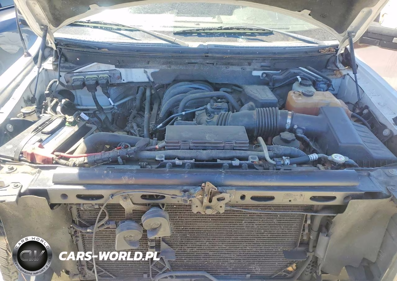 2010 Ford F150 Supercrew VIN:1FTEW1E8XAFB59129 - 11