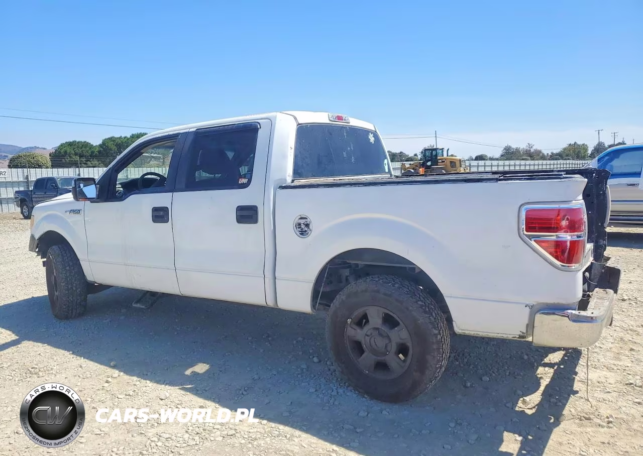 2010 Ford F150 Supercrew VIN:1FTEW1E8XAFB59129 - 2