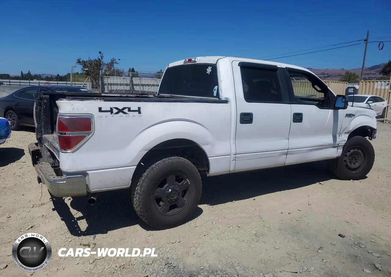 2010 Ford F150 Supercrew VIN:1FTEW1E8XAFB59129 - 3