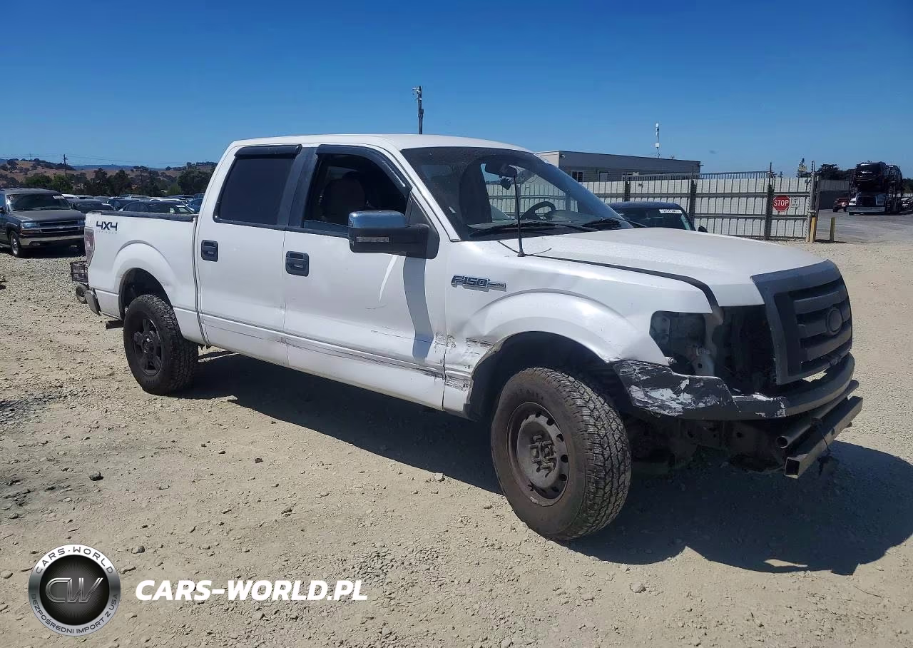2010 Ford F150 Supercrew VIN:1FTEW1E8XAFB59129 - 4