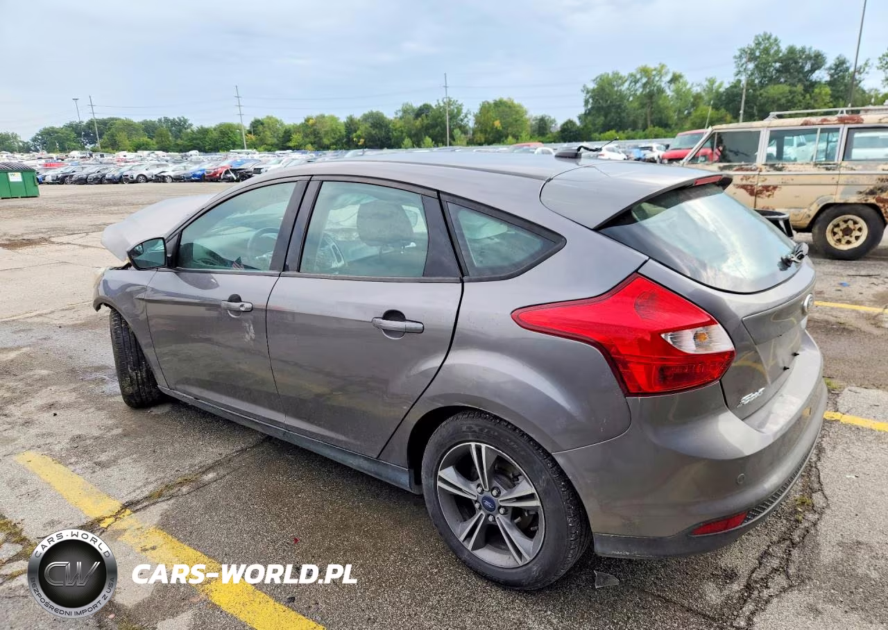 FORD FOCUS VIN:1FADP3K25EL317054 - 2