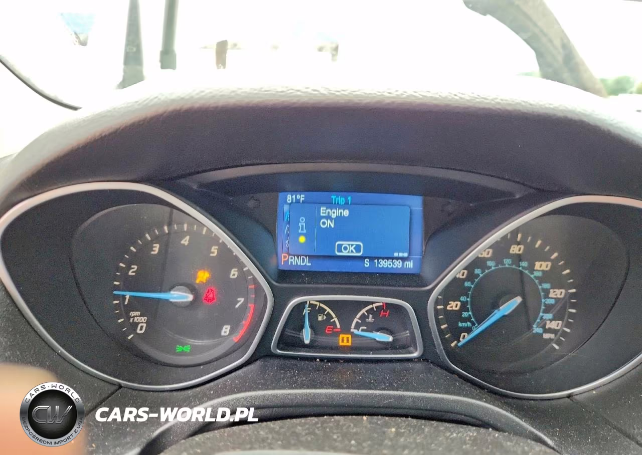 FORD FOCUS VIN:1FADP3K25EL317054 - 9