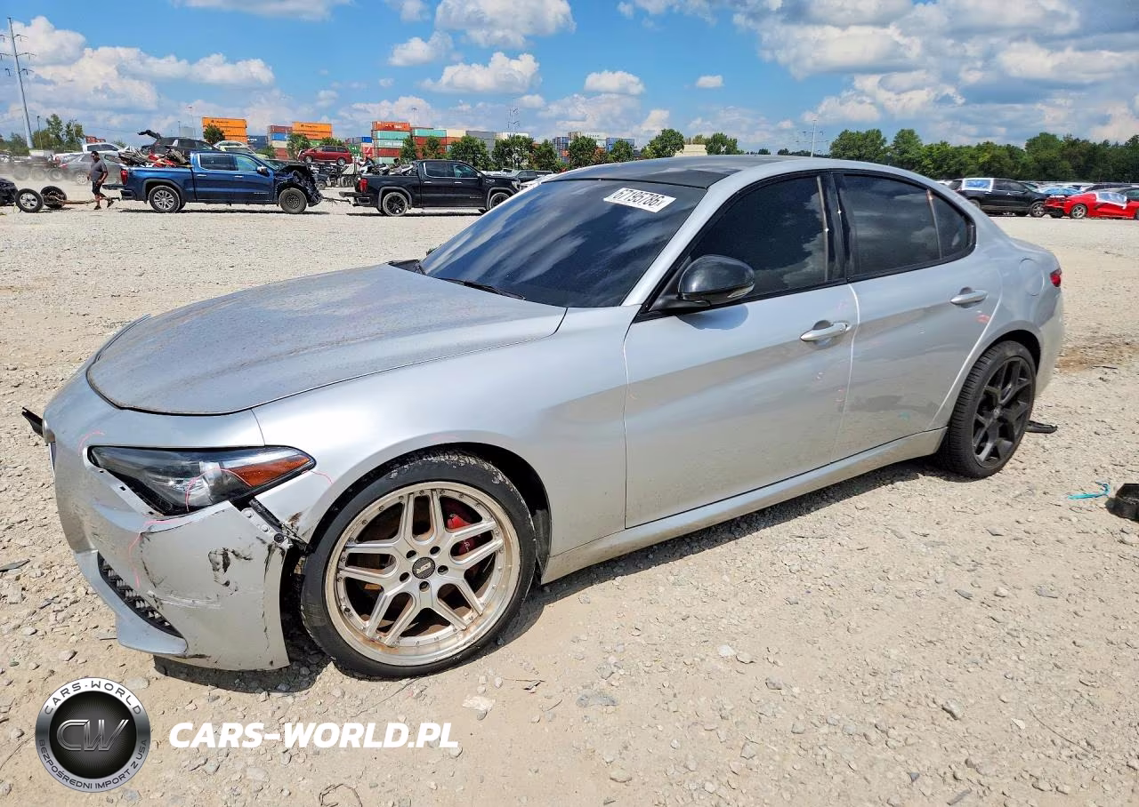 2020 Alfa Romeo Giulia VIN:ZARFAMAN0L7630529 - 1