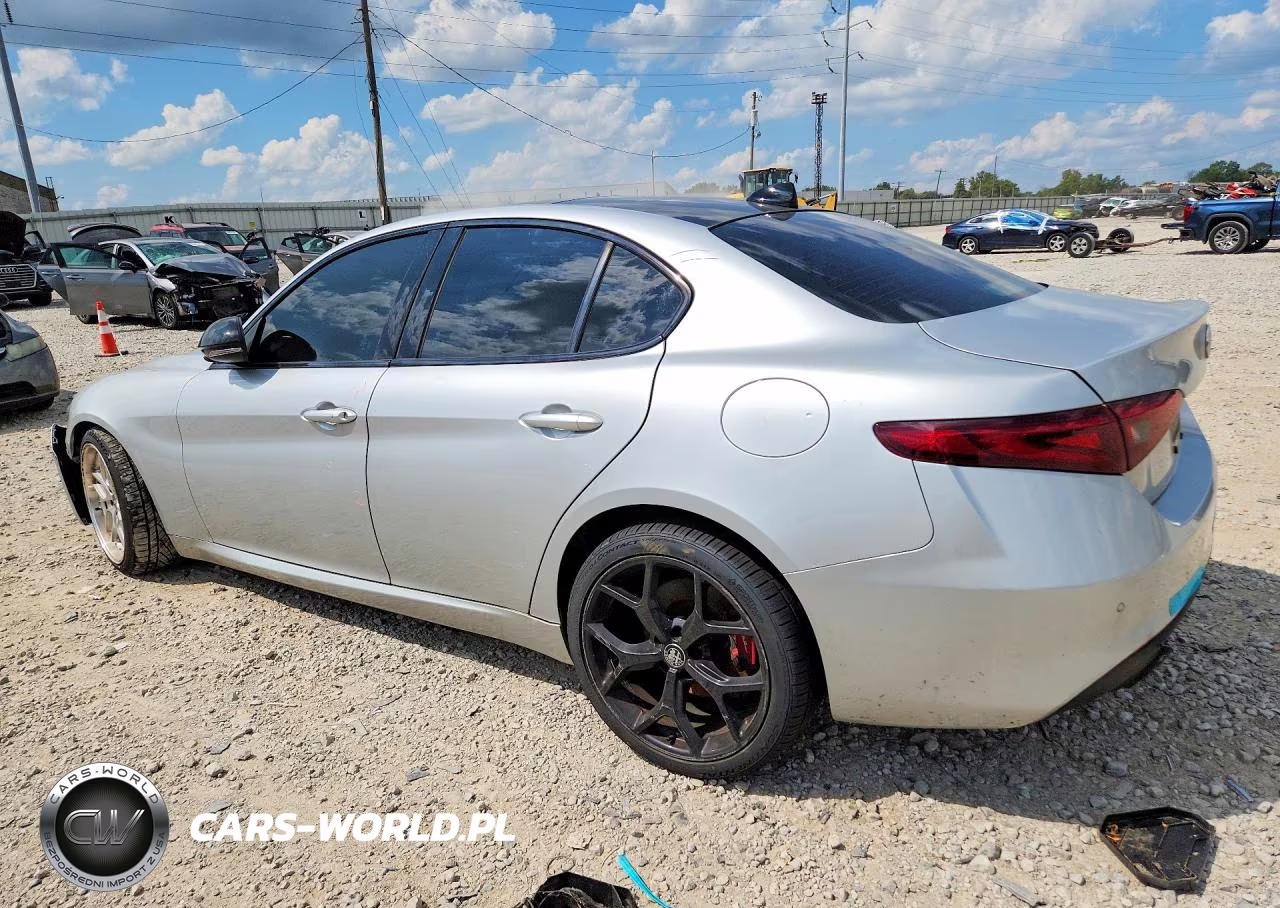 2020 Alfa Romeo Giulia VIN:ZARFAMAN0L7630529 - 2