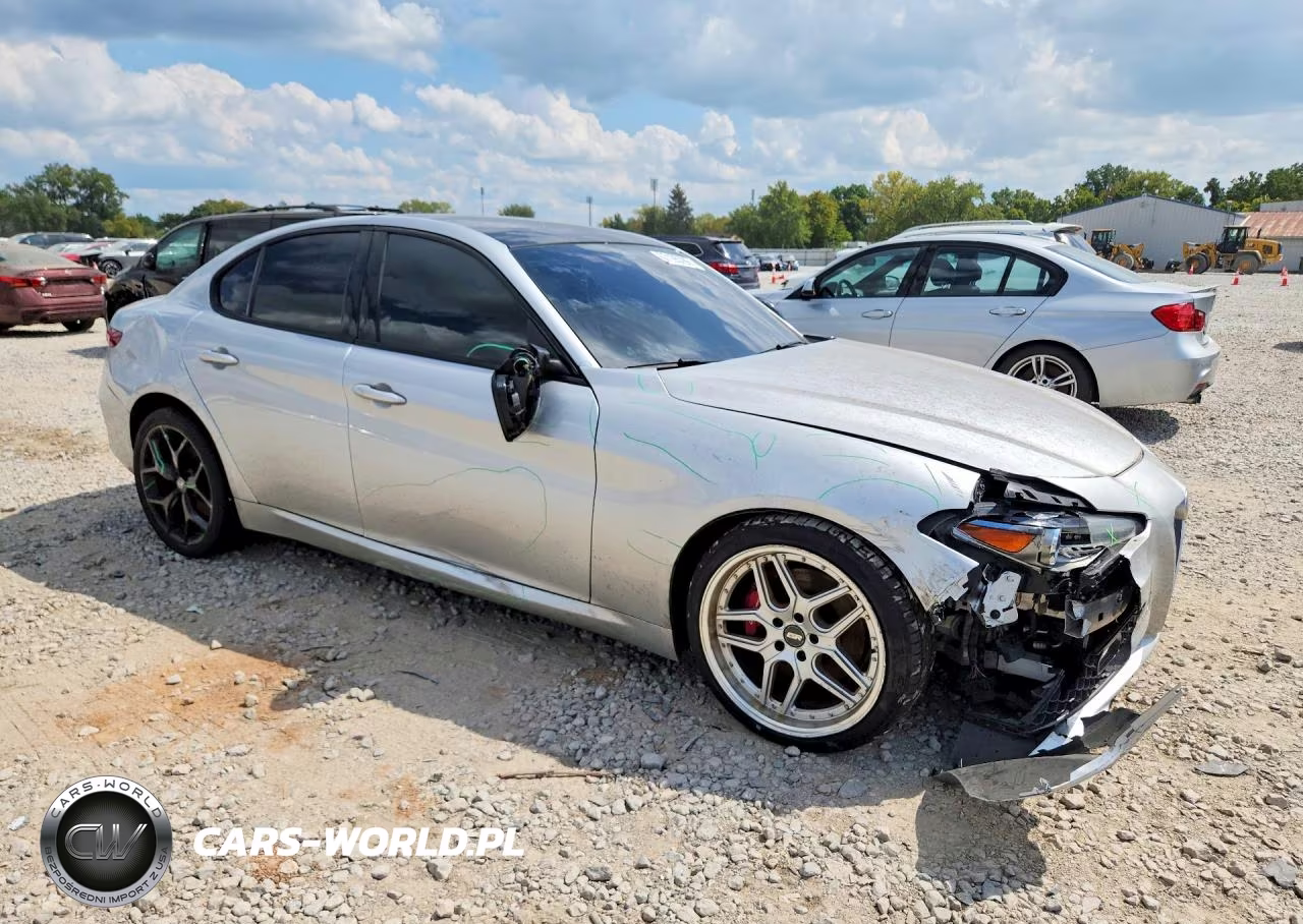 2020 Alfa Romeo Giulia VIN:ZARFAMAN0L7630529 - 4