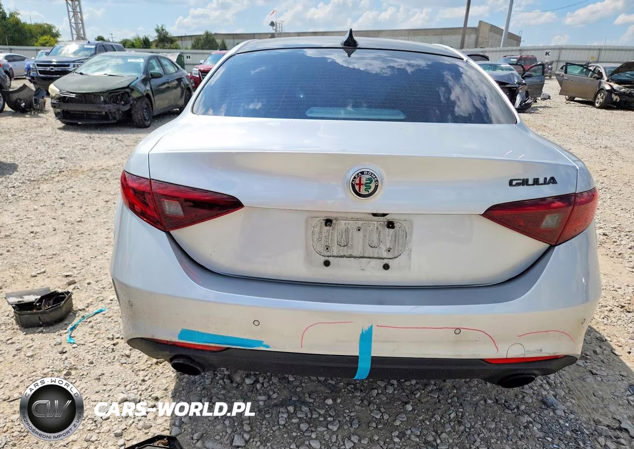 2020 Alfa Romeo Giulia VIN:ZARFAMAN0L7630529 - 6