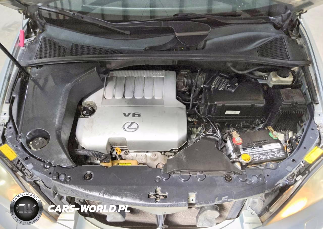 2007 Lexus Rx 350 VIN:2T2HK31U07C002374 - 12