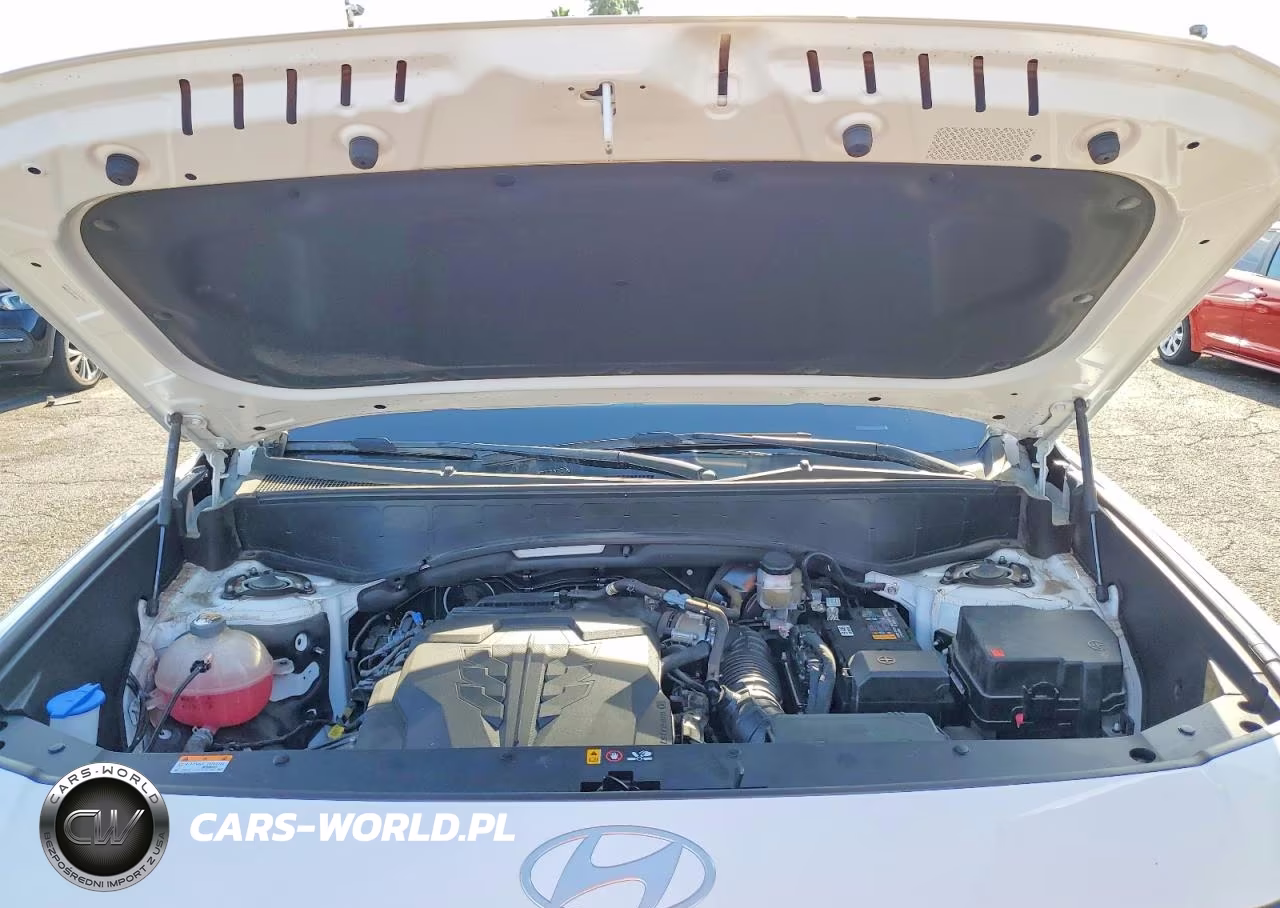 2026 Hyundai Palisade Calligraphy VIN:KM8RMES23TU043487 - 12