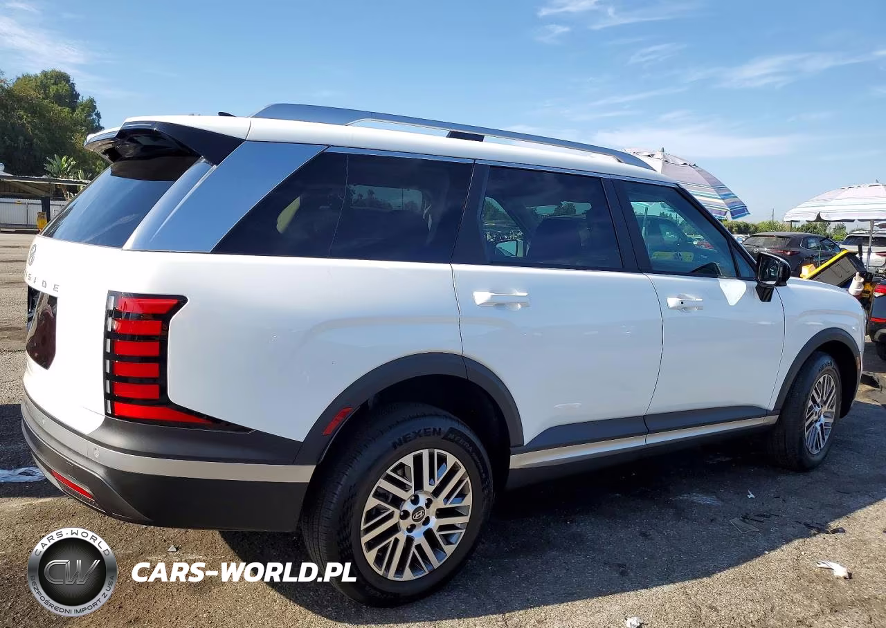 2026 Hyundai Palisade Calligraphy VIN:KM8RMES23TU043487 - 3